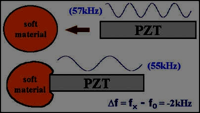 바이오센서 주파수