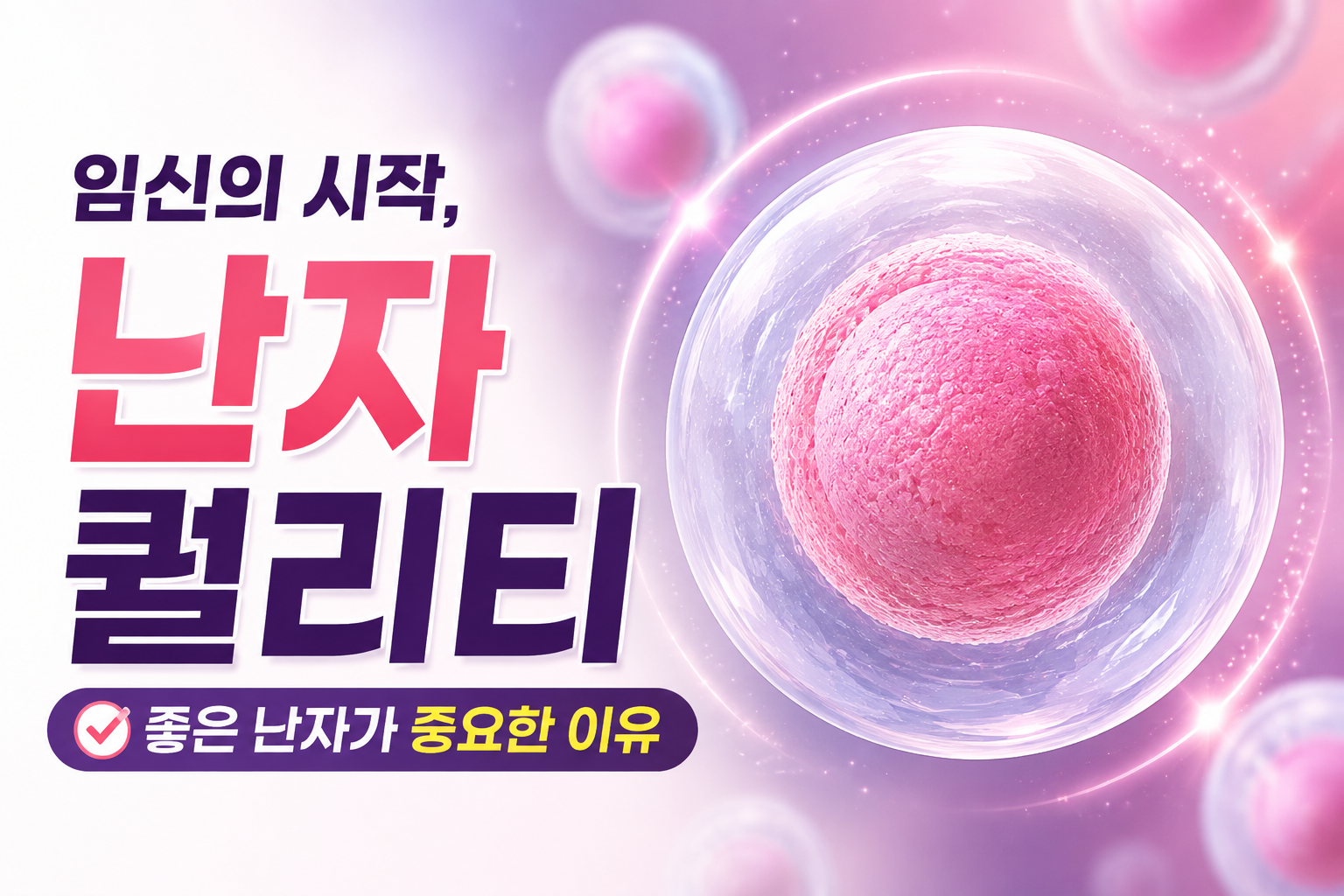 임신 성공률을 높이는 난자 퀄리티 향상법과 피해야 할 유해 요인