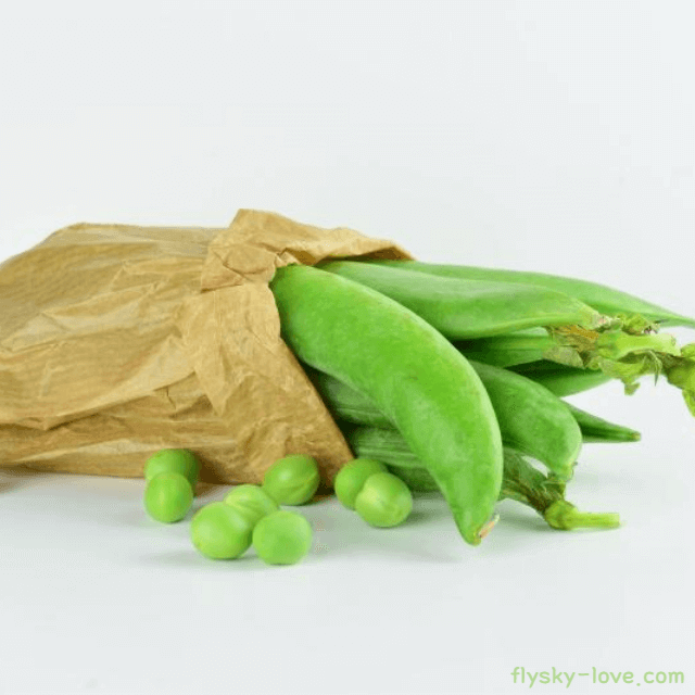 청태 고르는 법