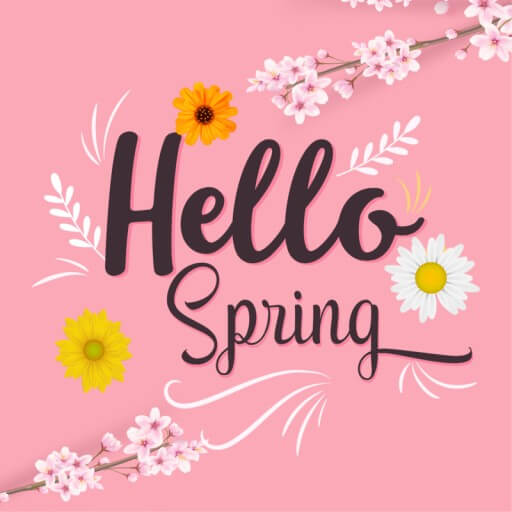 2024 벚꽃 개화시기 벚꽃 축제