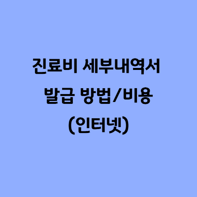 진료비 세부내역서 발급