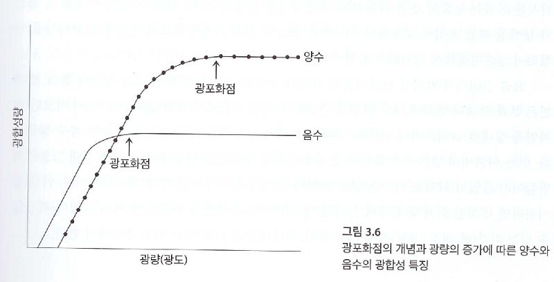 광포화점