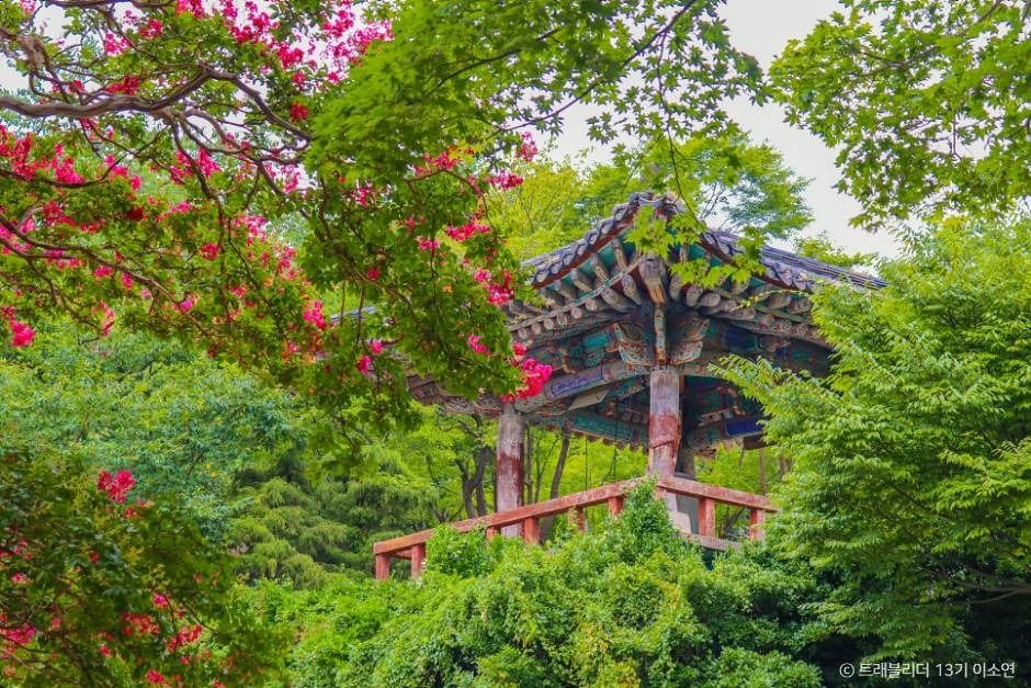 서산 가볼만한곳 베스트10