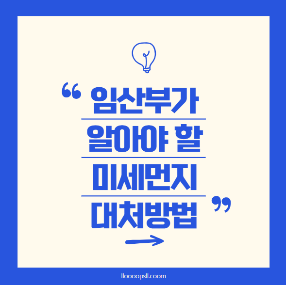 임산부가 알아야 할 미세먼지 대처방법