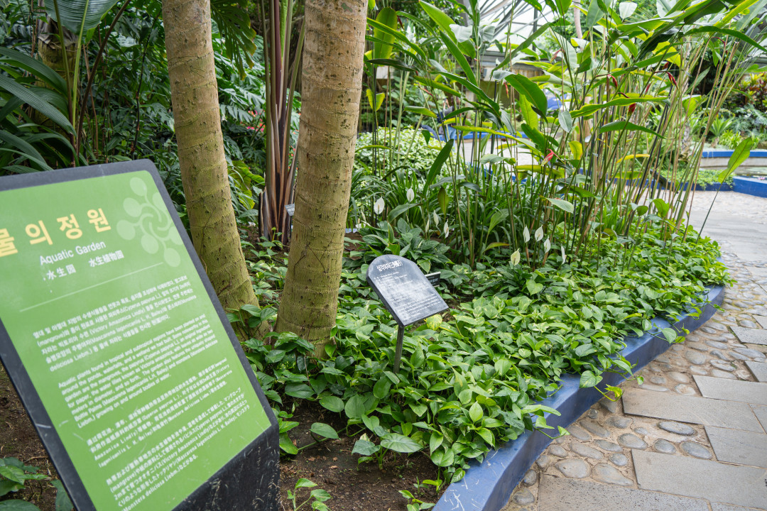 여미지 식물원 물의정원