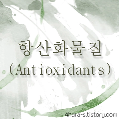 항산화물질-사진