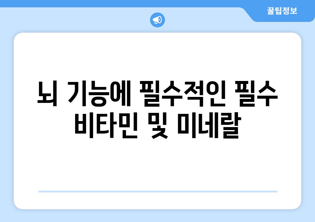뇌 기능에 필수적인 필수 비타민 및 미네랄