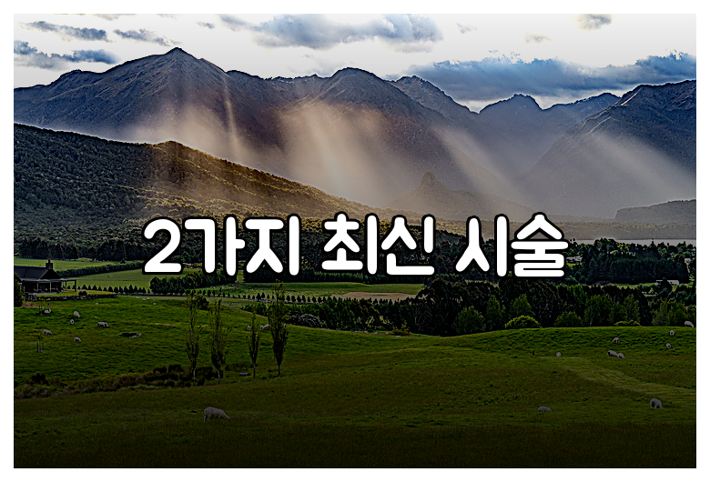 2가지 최신 시술