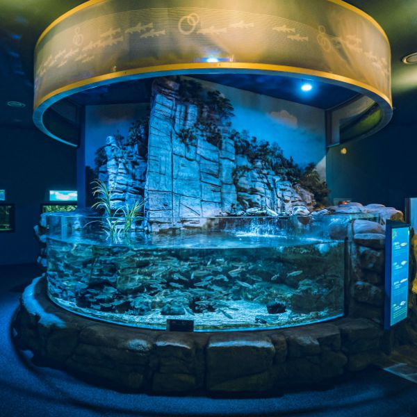 다누리아쿠아리움