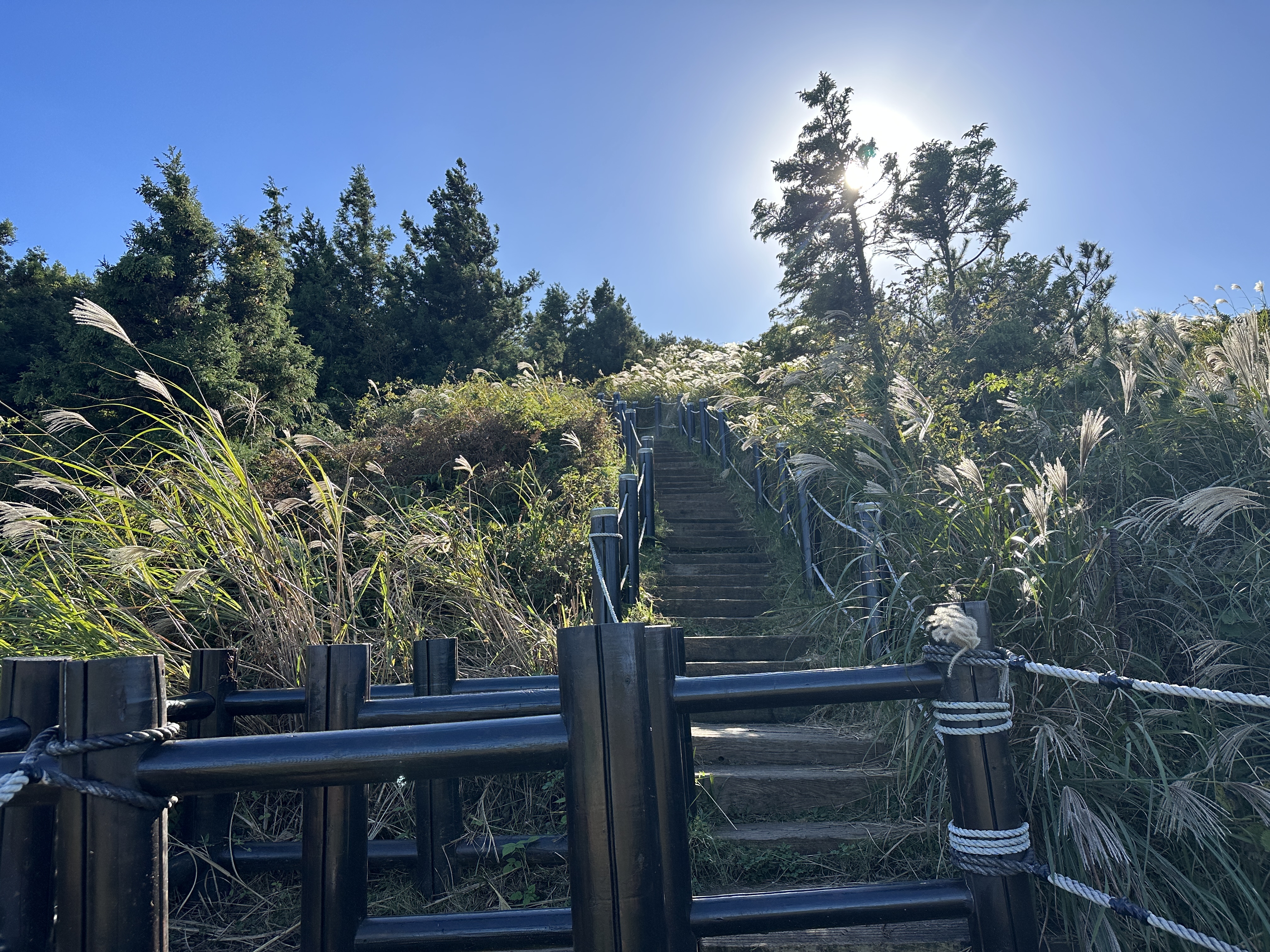 백약이오름 입구