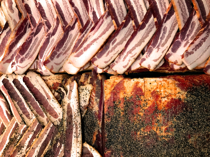 강아지생식알레르기