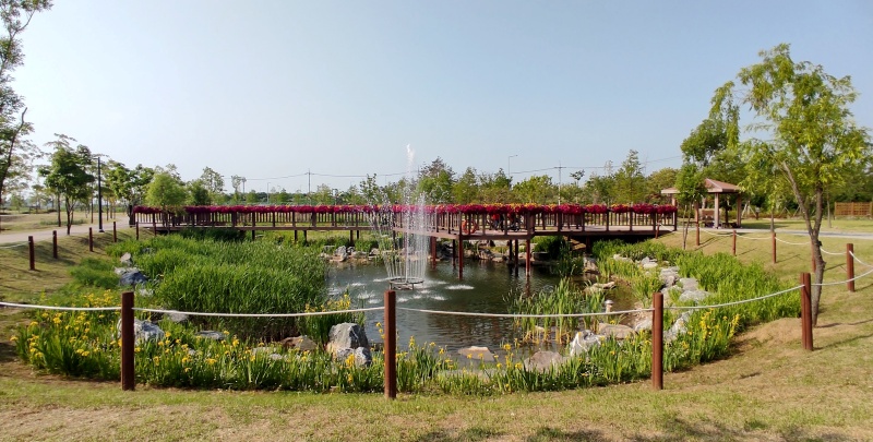 연못과 분수 그리고 데크