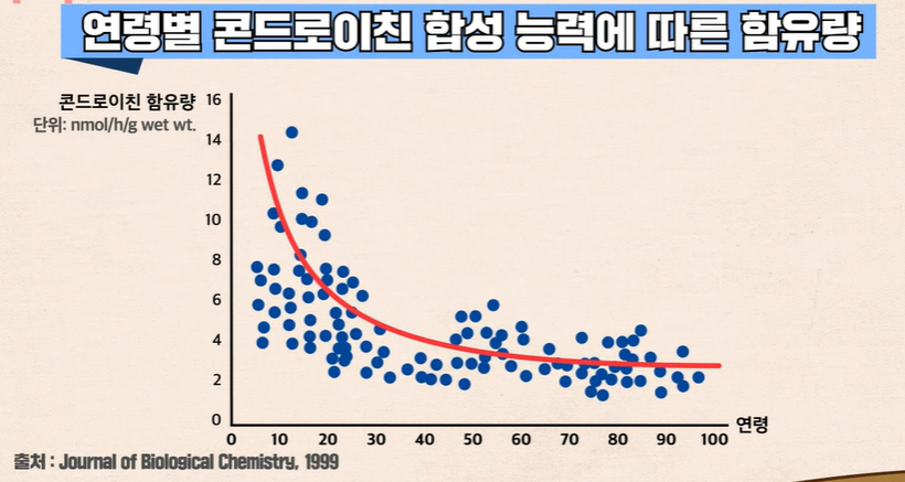 콘드로이친 효능