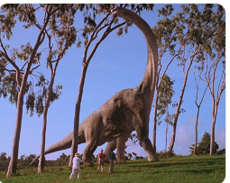 쥬라기공원 영화 속 한 장면