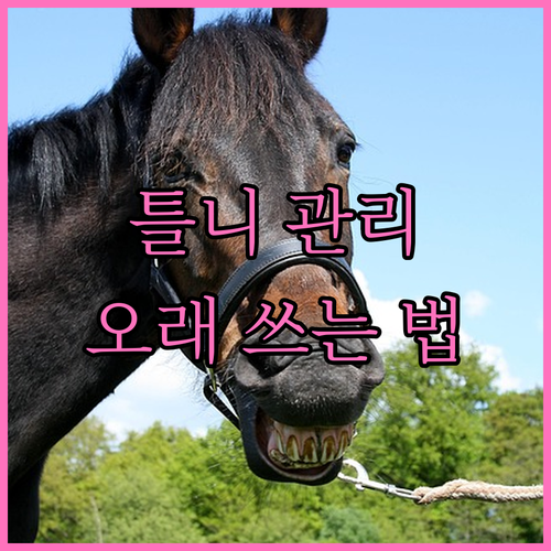 틀니 수명 연장 꿀팁: 올바른 관리법