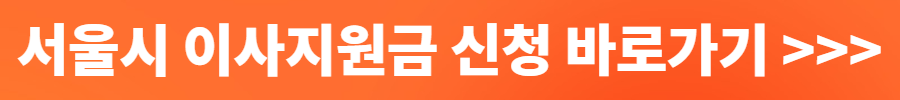 서울시 청년 이사비 지원금
