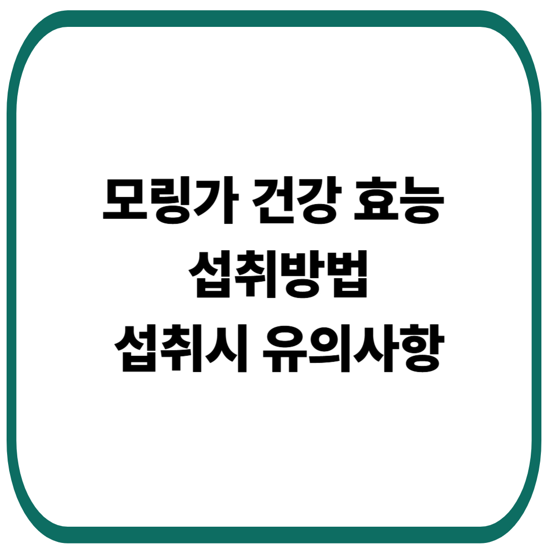 모링가 건강 효능, 섭취방법, 유의사항