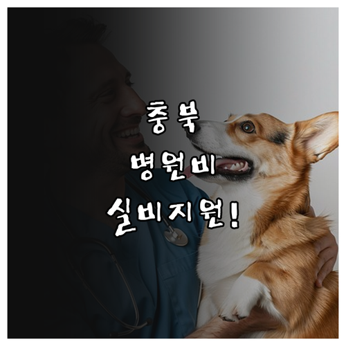 충북 반려동물 병원비 실비 지원 대상..