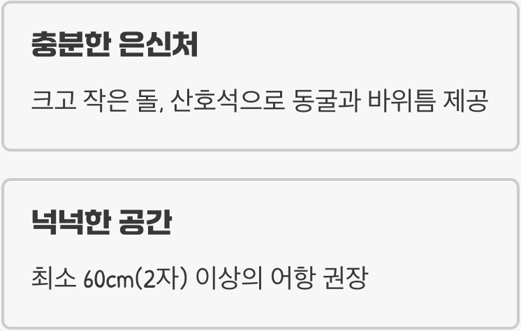어항 - 그들만의 '작은 왕국' 만들기