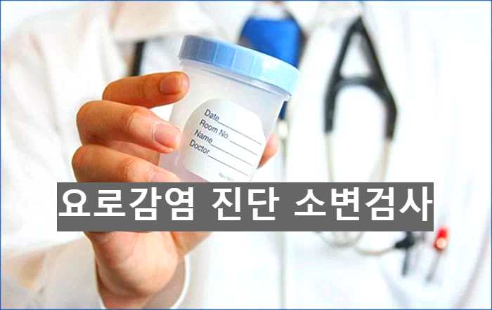 요로감염 진단