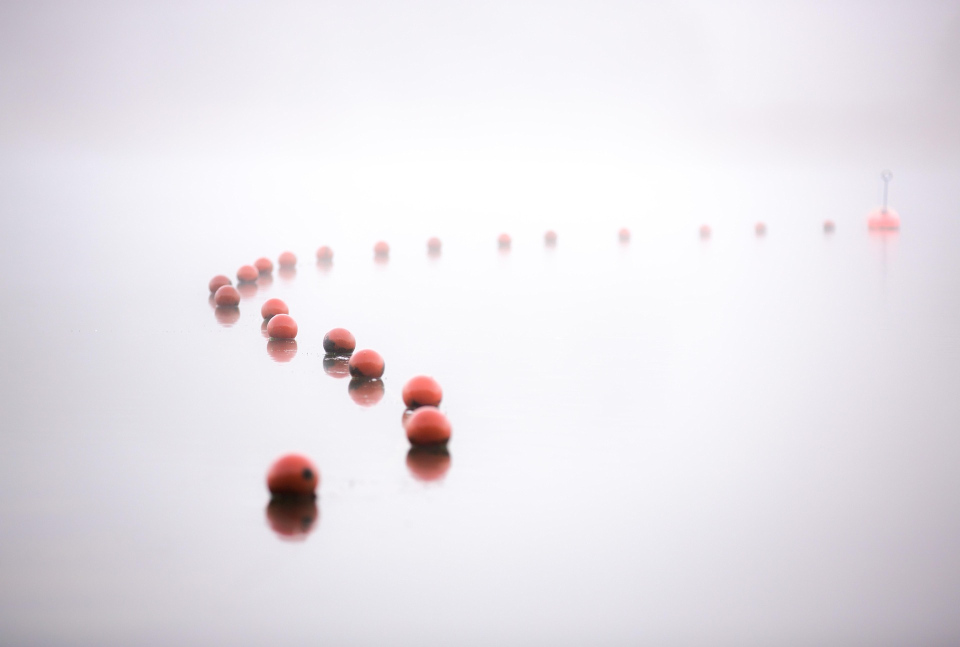 관절을 보호하는 운동과 망치는 운동의 차이