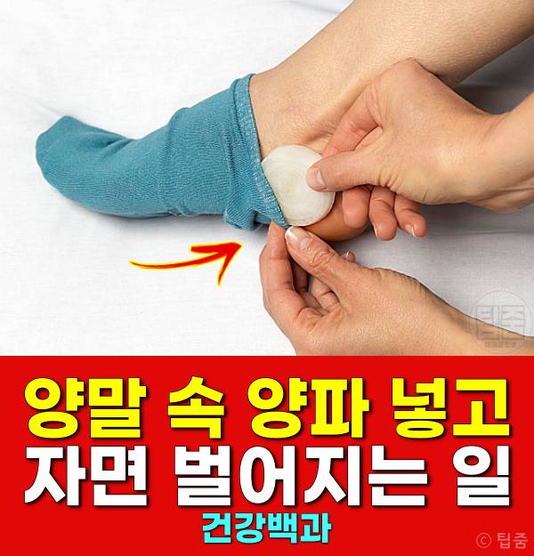 발바닥 양파 양말속에 양파 넣고자면