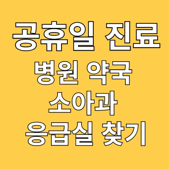 공휴일 진료 병원 약국 소아과 응급실 찾기