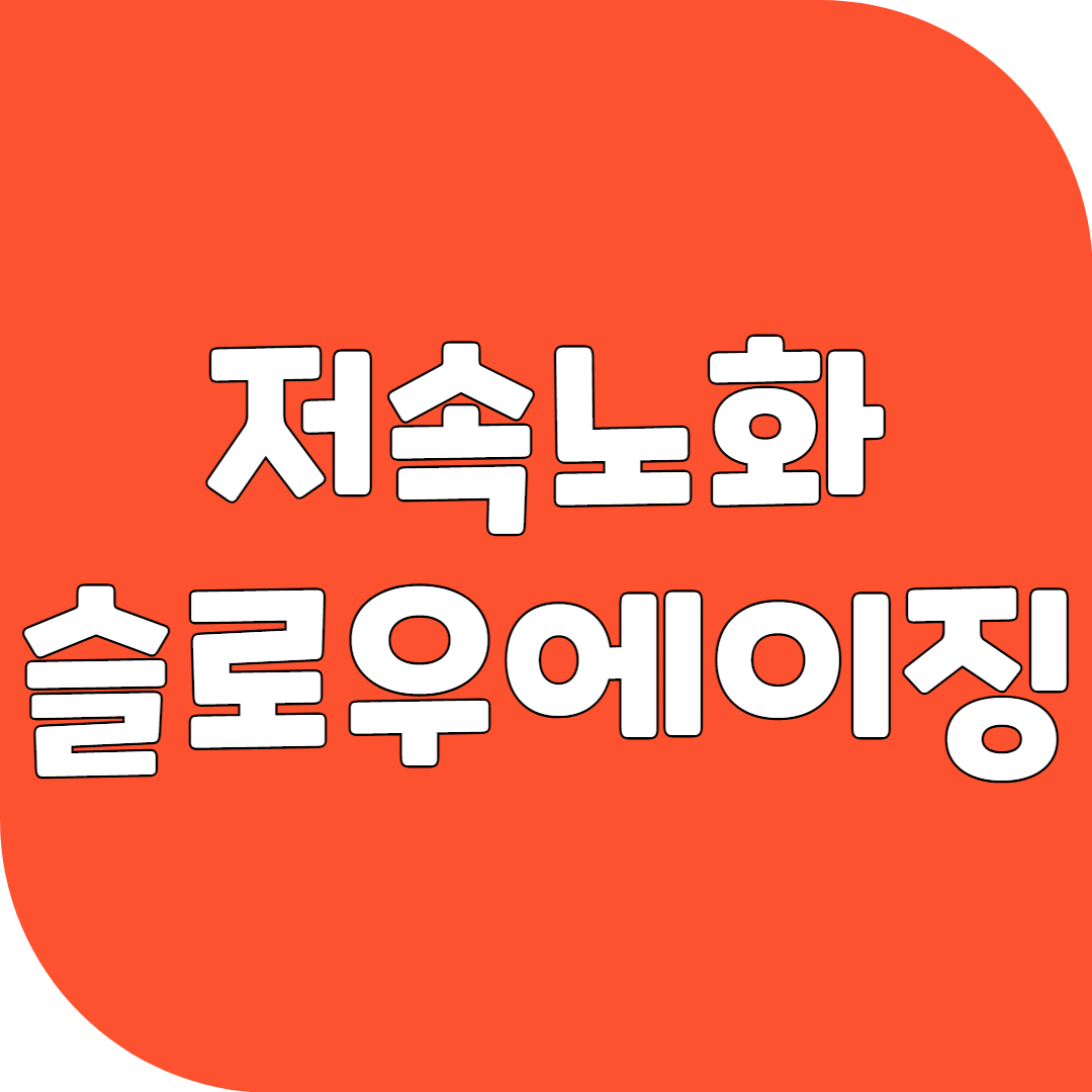 저속노화 슬로우에이징 효과 방법 꿀팁