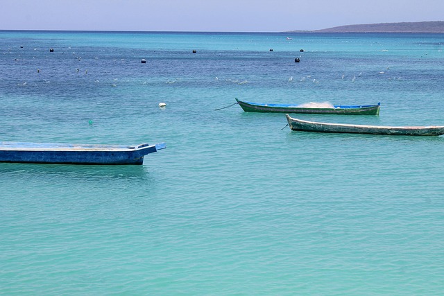 쿠팡와우회원해지하는법 완벽 가이드! PC·모바일 모두 가능