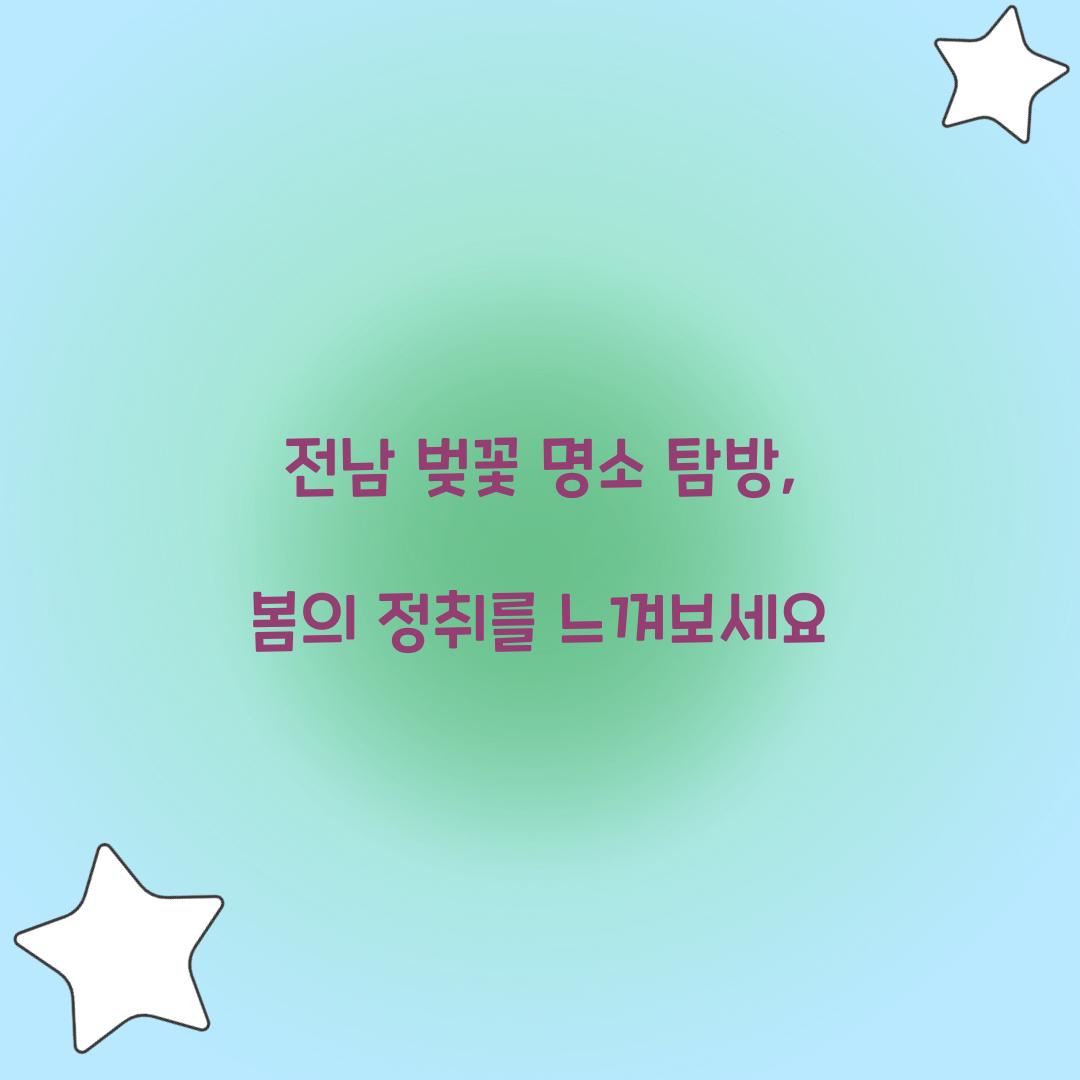 전남 벚꽃 명소