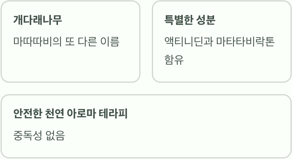 마따따비, '고양이 마약'의 정체는?
