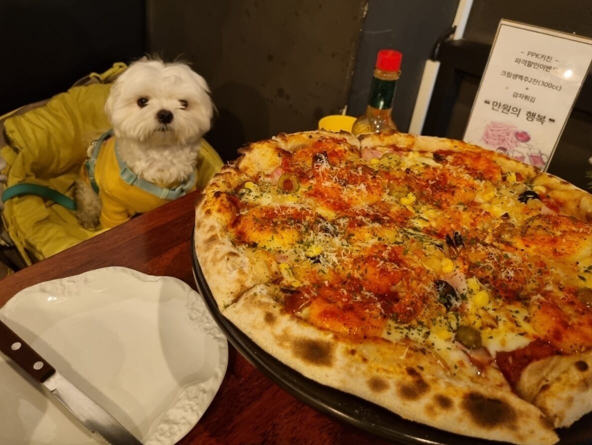 애견동반술집 PPK키친