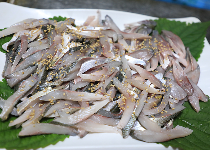 전어 효능 및 부작용