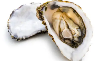 9월 제철 음식, 9월 제철 해산물