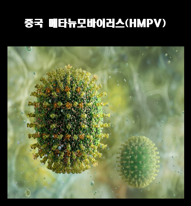 중국-메타뉴모바이러스-HMPV-감염경로