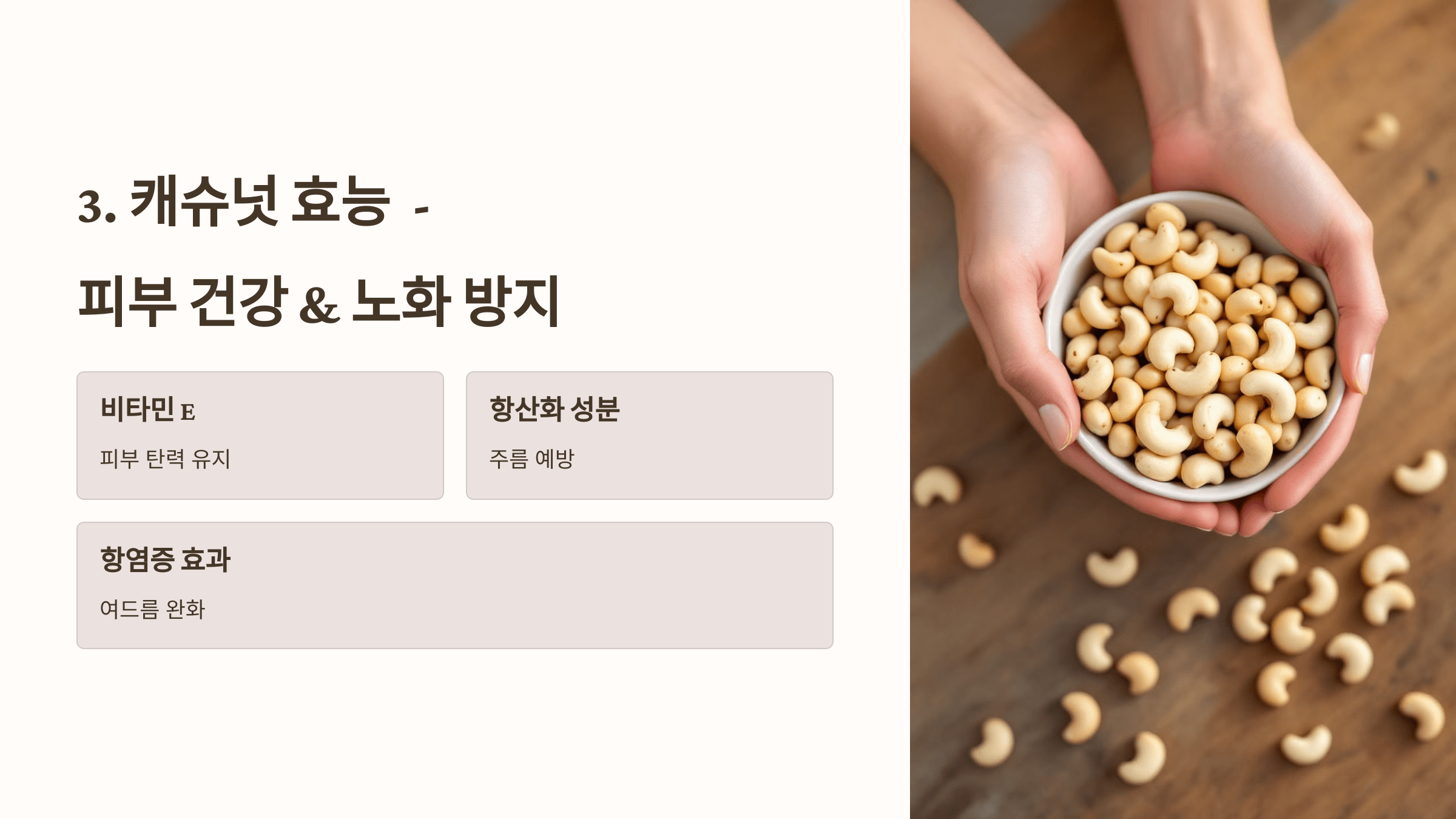 캐슈넛 사진입니다.