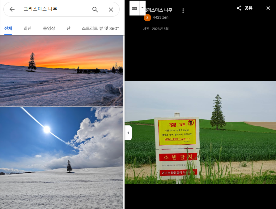 크리스마스나무(구글지도사진)