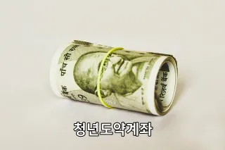 청년도약계좌