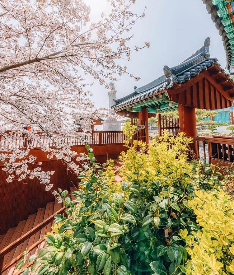 5월 여행- 가족 여행 추천, 국내 베스트 3, 가족 공유