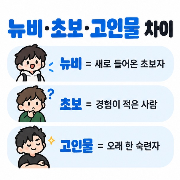뉴비 초보 고인물의 뜻과 느낌 차이를 비교한 카드뉴스