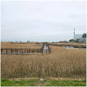 다대포해수욕장