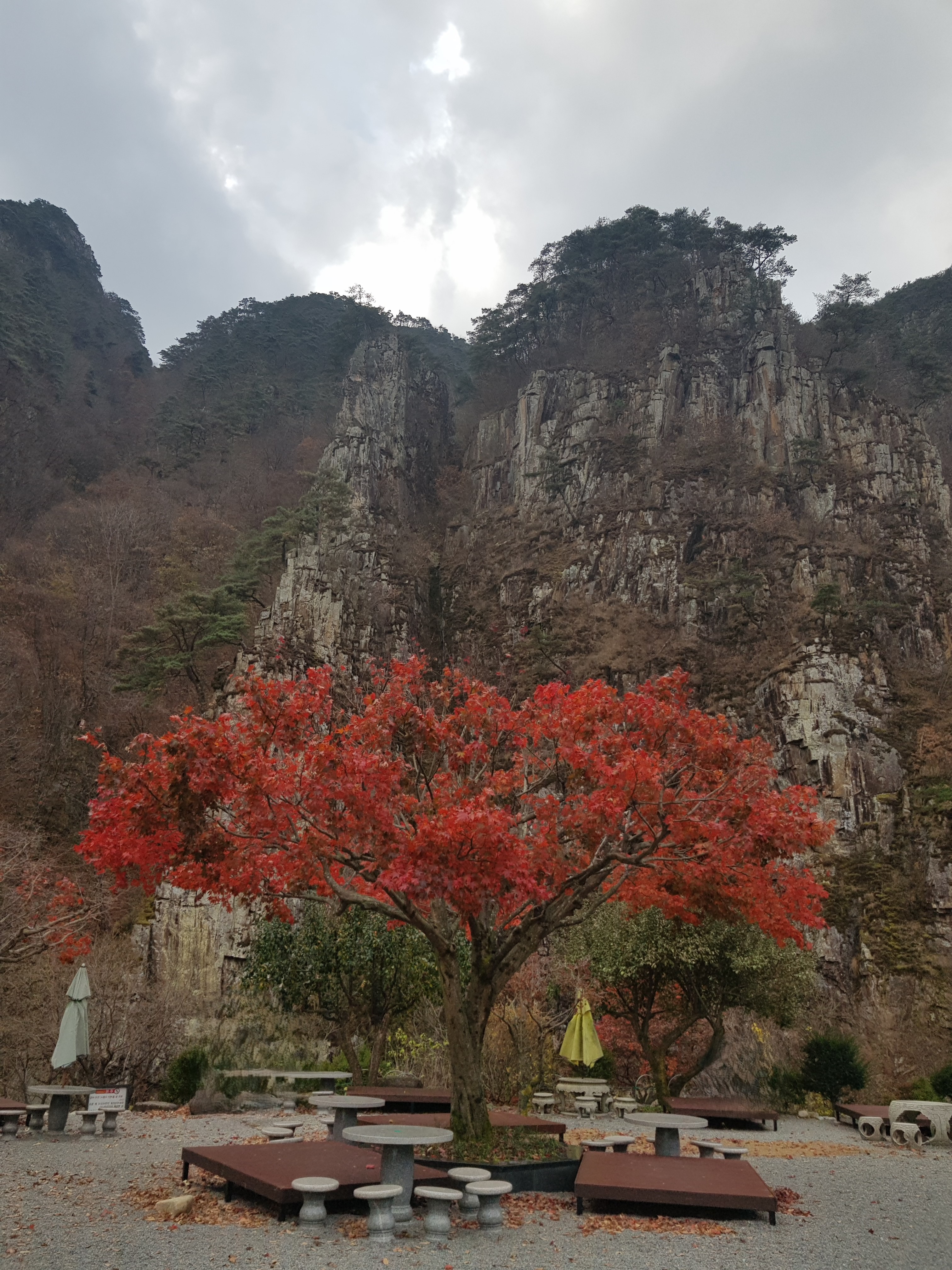 분당 율동공원 산책로 숨은 포토존