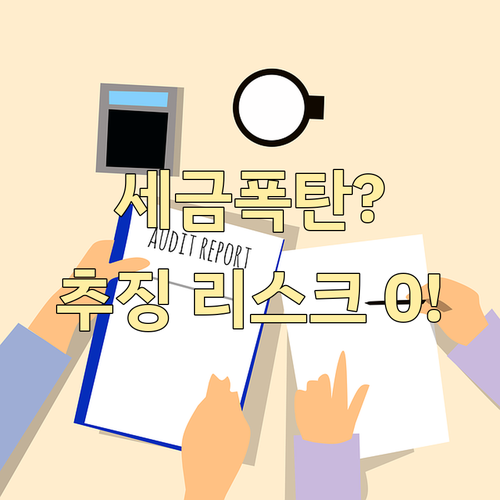 낮은 공시가 적용 시 세무조사 추징 ..