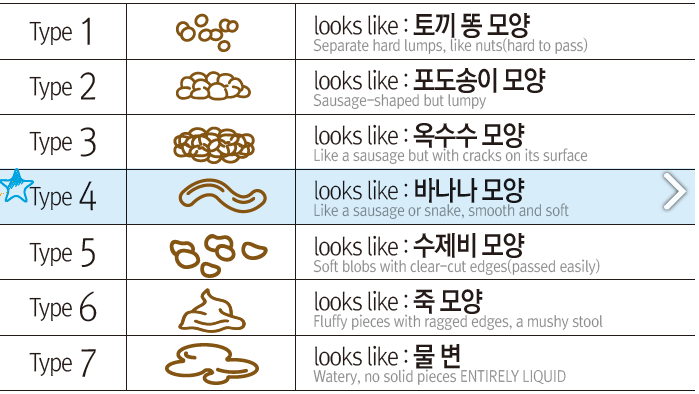 대변 모양