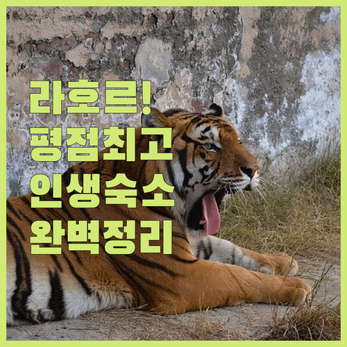 평점 높은 라호르 숙소 중 나에게 딱..