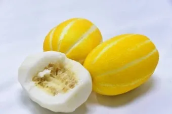 참외 효능 및 영양 정보 섭취 효과 정리_11