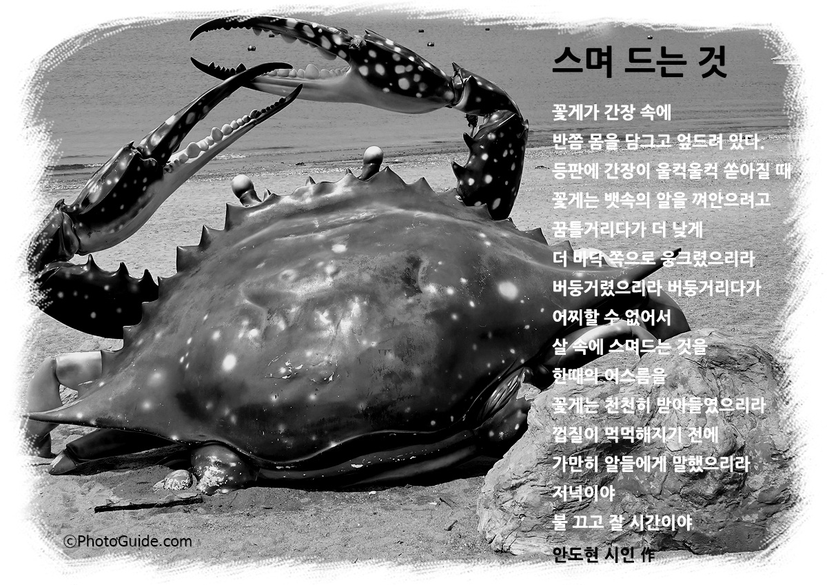 스며드는것-간장게장-시