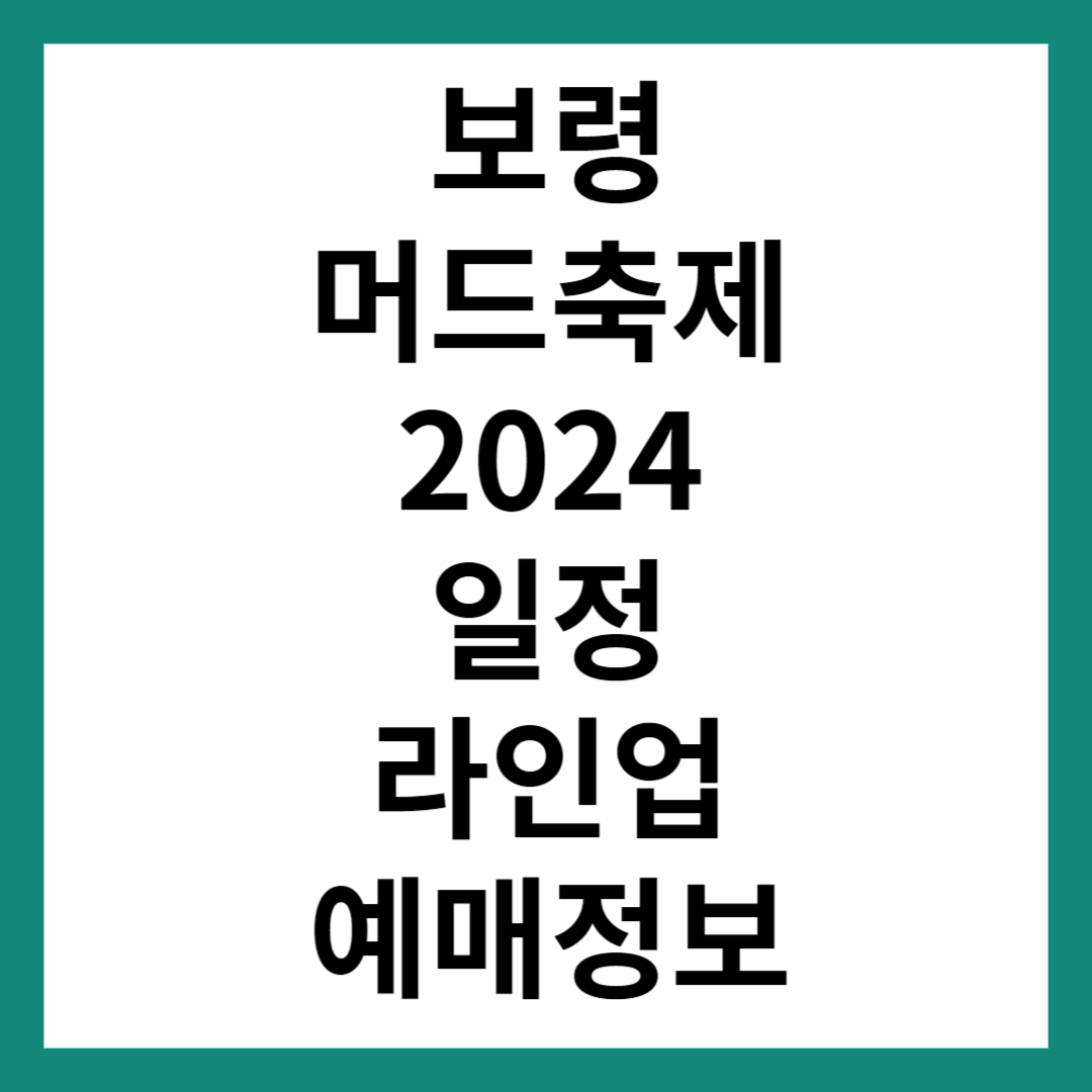 보령 머드축제
