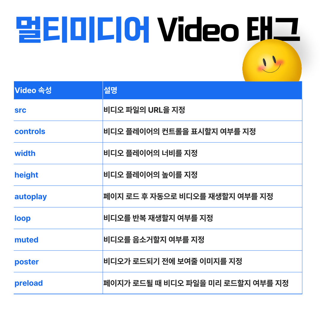 멀티미디어 video