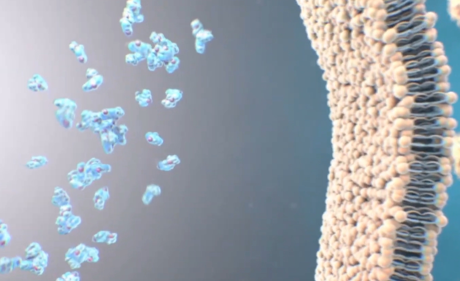 아시클로버 연고 효능